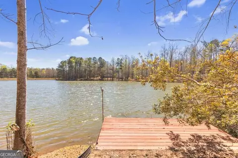 40 White Laurel Ln, Hampton, GA 30228 photo 5