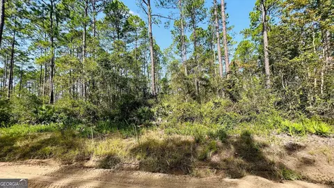 0 Mount Pleasant Rd, Jesup, GA 31546