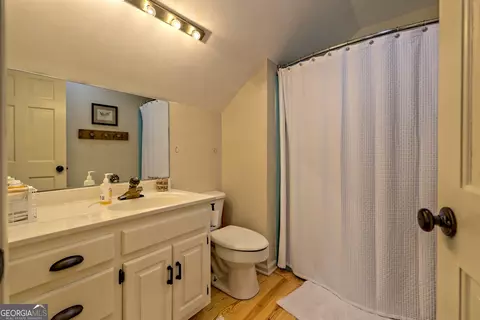Bath - 655 Laprades Rd, Clarkesville, GA 30523 photo 4 of 7