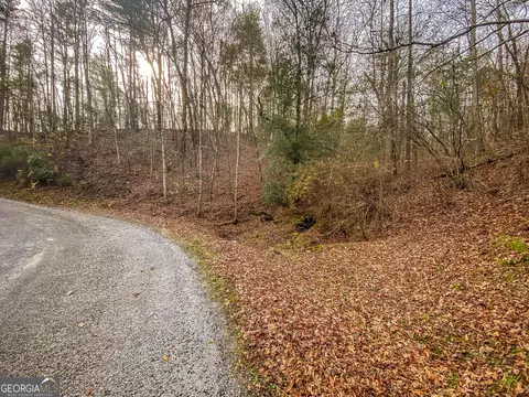 61 Bmw Drive, Ellijay, GA 30540