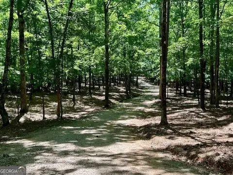 1100 Bartram Trace Rd, Rayle, GA 30660 photo 22
