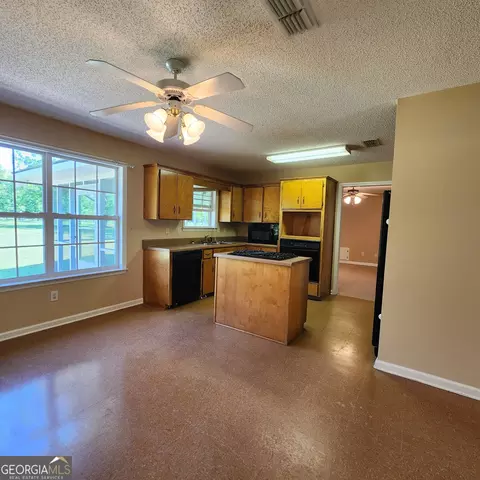 378 Blackerby Rd, Climax, GA 39834 photo 9