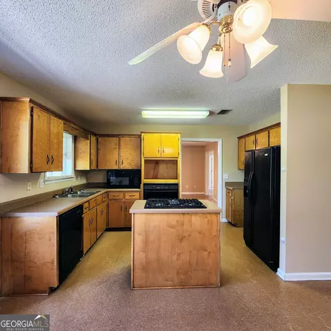 378 Blackerby Rd, Climax, GA 39834 photo 10