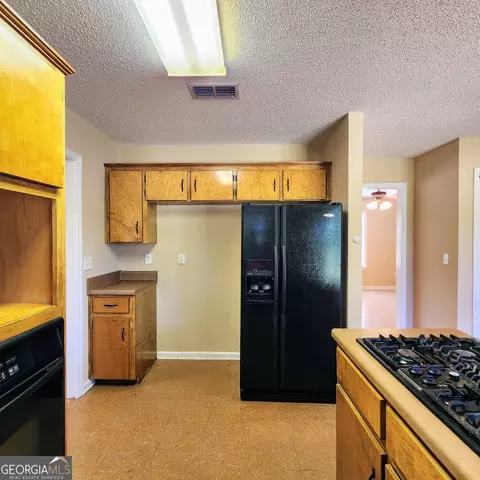 378 Blackerby Rd, Climax, GA 39834 photo 11