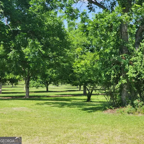 378 Blackerby Rd, Climax, GA 39834 photo 30