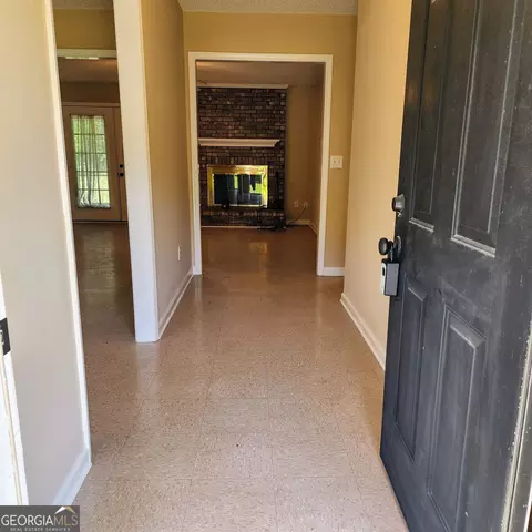378 Blackerby Rd, Climax, GA 39834 photo 4