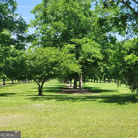 378 Blackerby Rd, Climax, GA 39834 photo 29