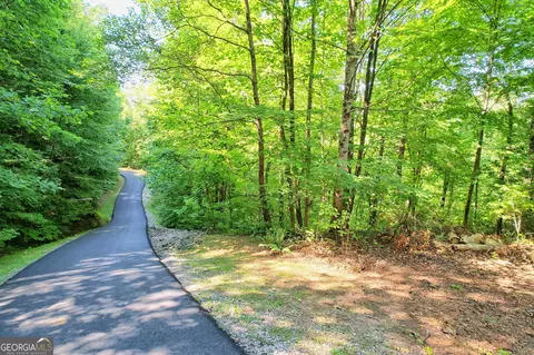 0 Raven Fork Trl, Dillard, GA 30537 photo 10