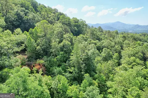 0 Raven Fork Trl, Dillard, GA 30537 photo 6
