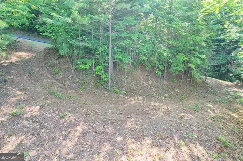 0 Raven Fork Trl, Dillard, GA 30537 photo 7