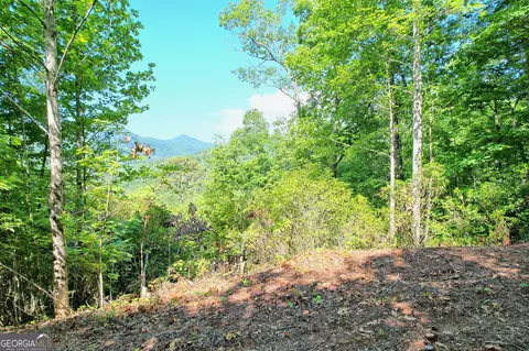 0 Raven Fork Trl, Dillard, GA 30537 photo 11
