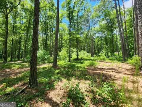 0 Rest Haven Rd, Thomaston, GA 30286