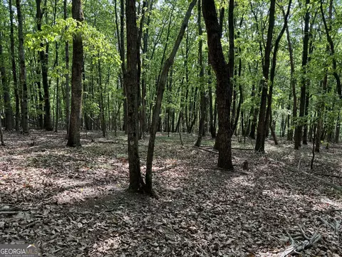 0 Skitts Mountain Rd, Clermont, GA 30527