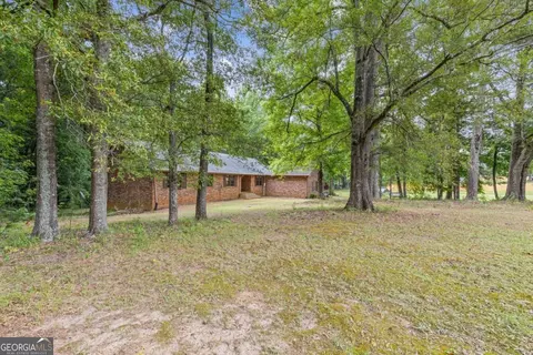 13842 Panhandle Ln, Hampton, GA 30228 photo 3