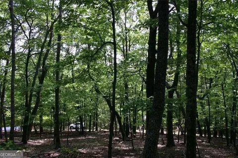 1548 Moss Patch Trl, Jasper, GA 30143 photo 5