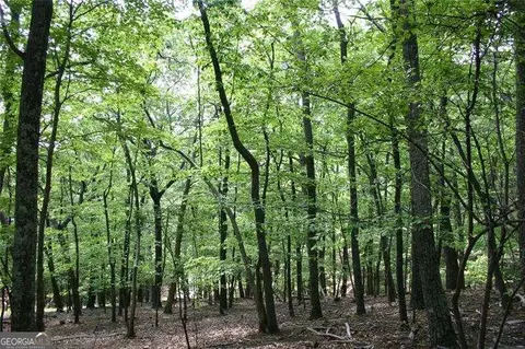 1548 Moss Patch Trl, Jasper, GA 30143 photo 2