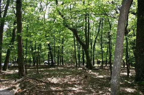 1548 Moss Patch Trl, Jasper, GA 30143 photo 3