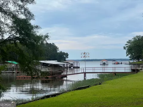 653 Lakeview Dr, Abbeville, AL 36310 photo 19