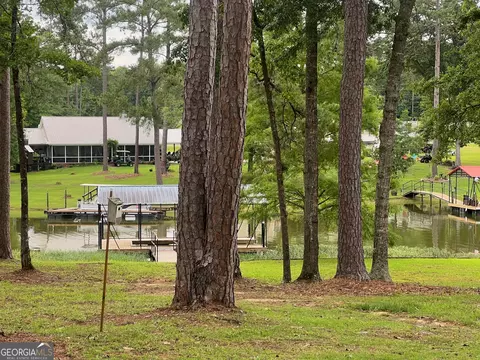 653 Lakeview Dr, Abbeville, AL 36310 photo 18
