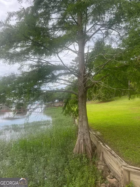653 Lakeview Dr, Abbeville, AL 36310 photo 20