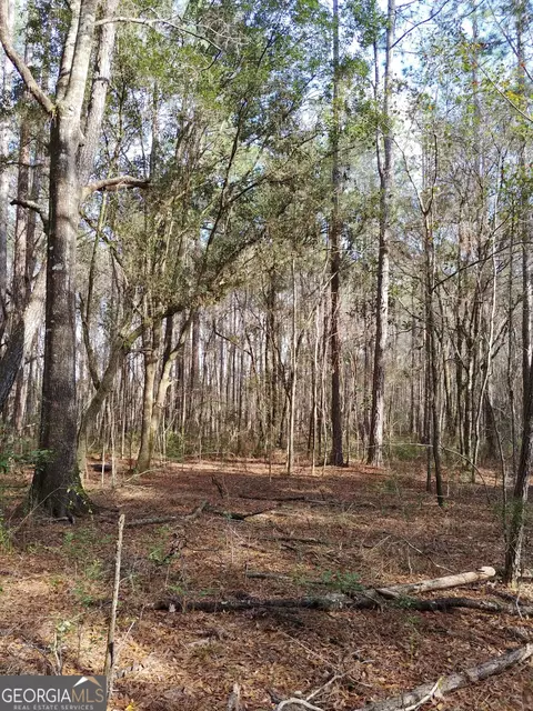 0 Haynor Rd, Waverly, GA 31565