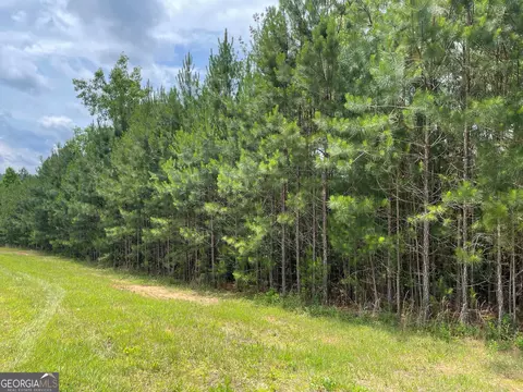 Lot 41 Northshore, Blairsville, GA 30512
