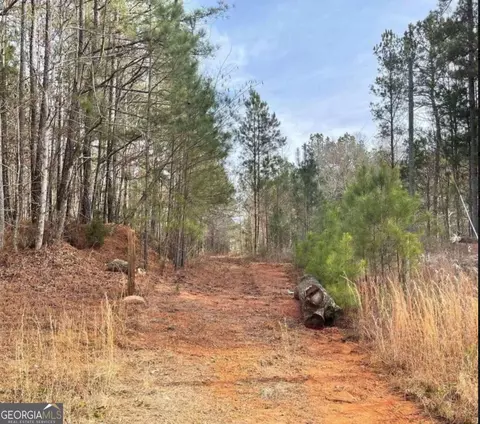 0 Higgins Rd, Flovilla, GA 30216