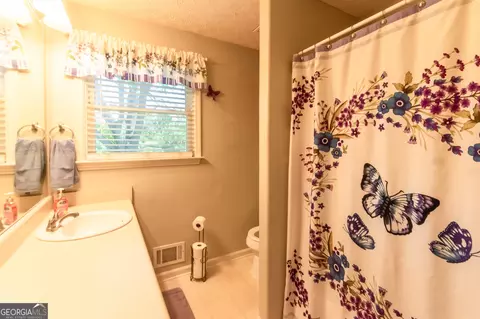 291 N Dorsey Rd, Hampton, GA 30228 photo 10