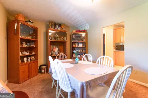 291 N Dorsey Rd, Hampton, GA 30228 photo 16