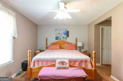 291 N Dorsey Rd, Hampton, GA 30228 photo 13