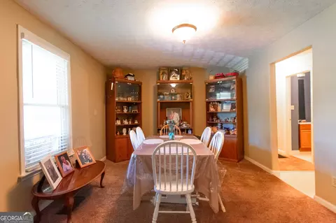 291 N Dorsey Rd, Hampton, GA 30228 photo 15