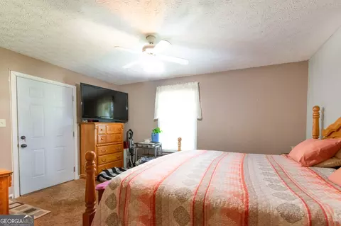 291 N Dorsey Rd, Hampton, GA 30228 photo 12