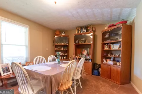 291 N Dorsey Rd, Hampton, GA 30228 photo 14