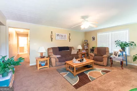 291 N Dorsey Rd, Hampton, GA 30228 photo 7