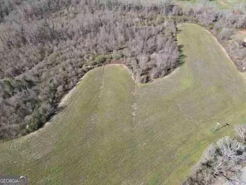 0 Highway 320, Carnesville, GA 30521 photo 6