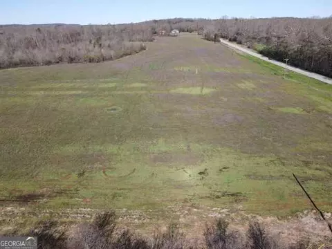 0 Highway 320, Carnesville, GA 30521 photo 4