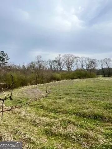 0 Highway 320, Carnesville, GA 30521
