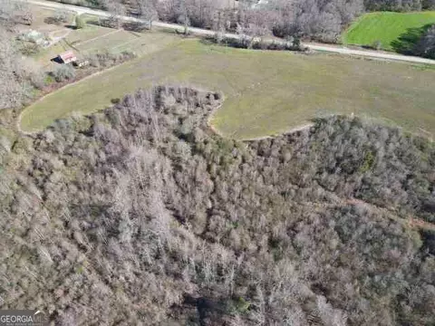 0 Highway 320, Carnesville, GA 30521 photo 5