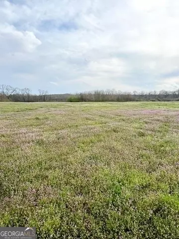 0 Highway 320, Carnesville, GA 30521 photo 3