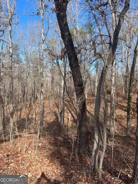 389 Chattahoochee Way, Cornelia, GA 30531