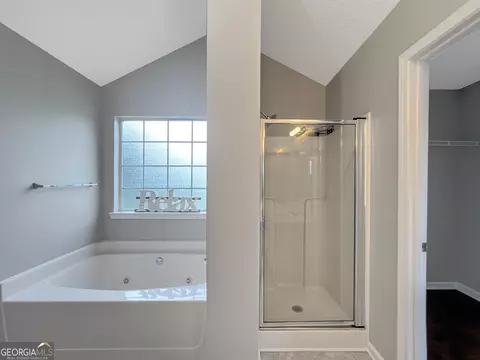 172 River View Ct, Hampton, GA 30228 photo 13