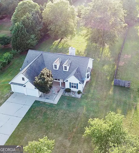 172 River View Ct, Hampton, GA 30228 photo 21