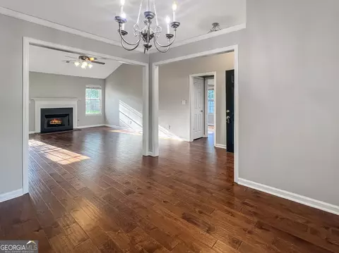 172 River View Ct, Hampton, GA 30228 photo 3