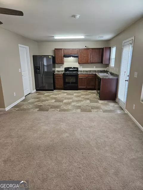 11033 Shadow Creek Ter, Hampton, GA 30228 photo 3