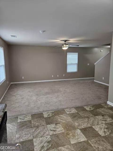 11033 Shadow Creek Ter, Hampton, GA 30228 photo 2