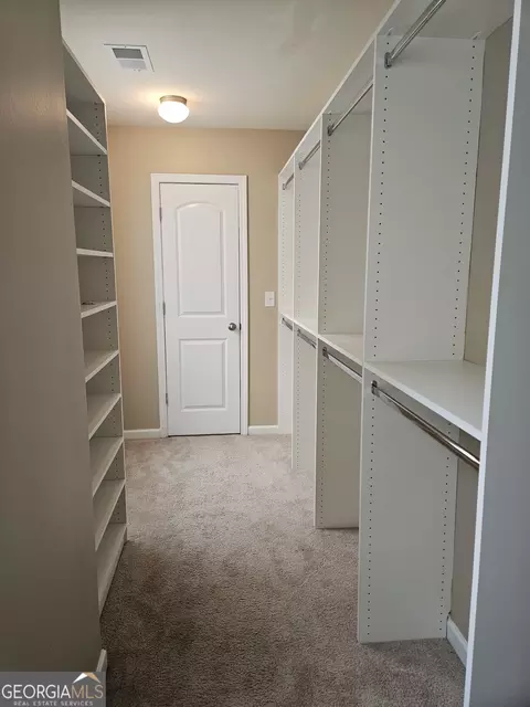 11033 Shadow Creek Ter, Hampton, GA 30228 photo 9