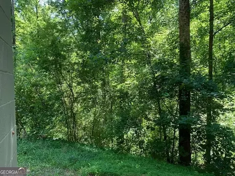 293 Acre Ests, Toccoa, GA 30577 photo 52