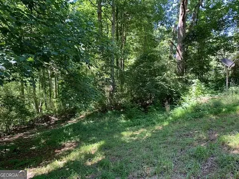 293 Acre Ests, Toccoa, GA 30577 photo 55