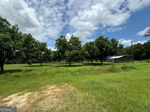 0 Wilcox Rd, Cairo, GA 39827 photo 16