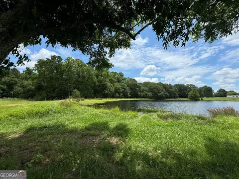 0 Wilcox Rd, Cairo, GA 39827 photo 24